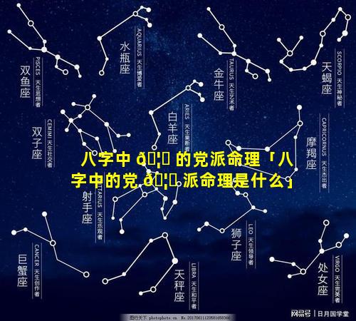 八字中 🦅 的党派命理「八字中的党 🦉 派命理是什么」